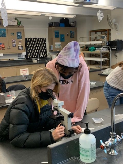 Exploring hair science with science teachers Kristin Fiori, Leah Kaplan, and Teresa Chiang